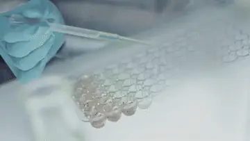 Técnico de laboratorio pipeteando extractos de nuez