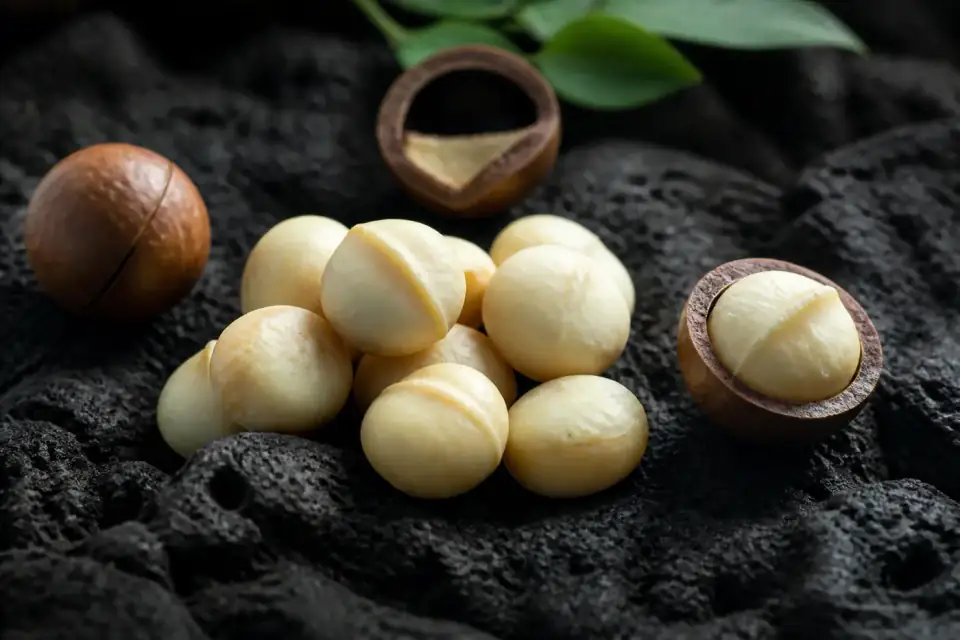 Macadamias
